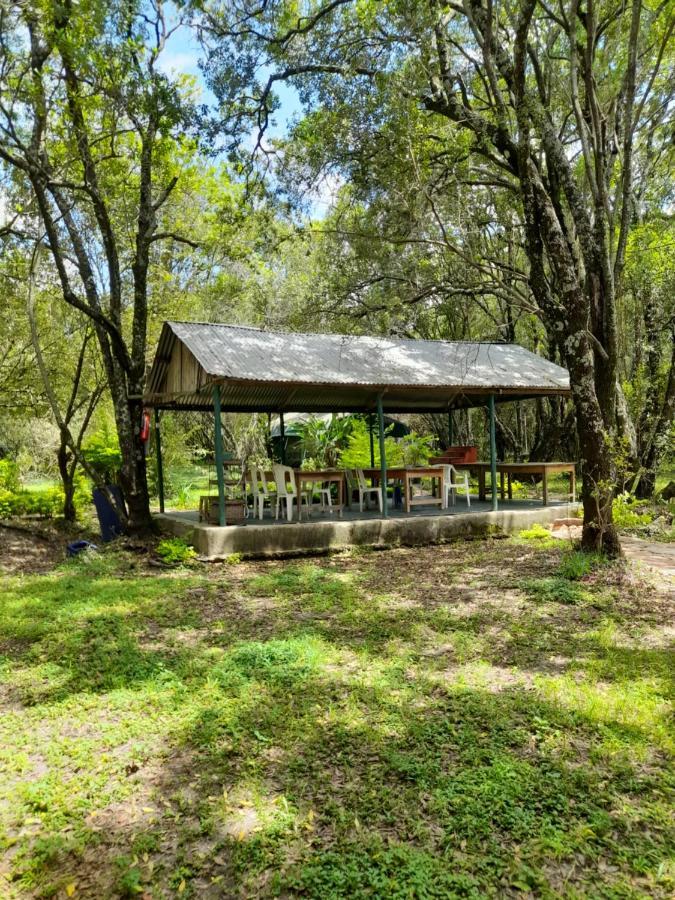 فندق Leruk Maasai Mara Camp Sekenani المظهر الخارجي الصورة