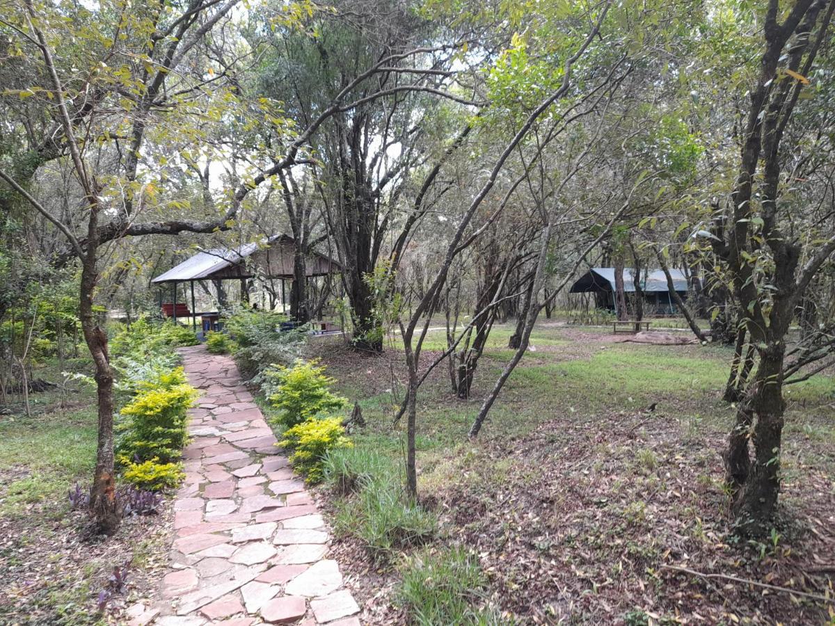 فندق Leruk Maasai Mara Camp Sekenani المظهر الخارجي الصورة