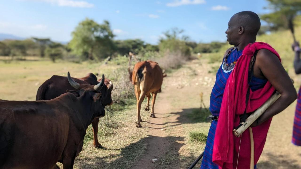 فندق Leruk Maasai Mara Camp Sekenani المظهر الخارجي الصورة